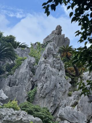 沖繩 國頭村 大石林山-體驗大自然的奧妙