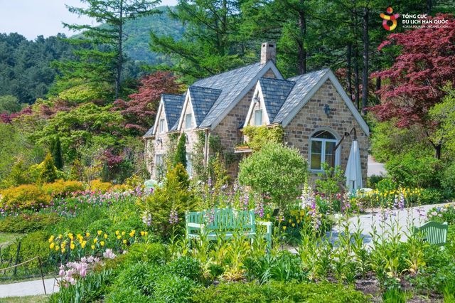 SUMMER MINI TOUR – Nami Island + Garden of Morning Calm (Day Trip from Seoul) SUMMER MINI TOUR – Nami Island + Garden of Morning Calm (Day Trip from Seoul)