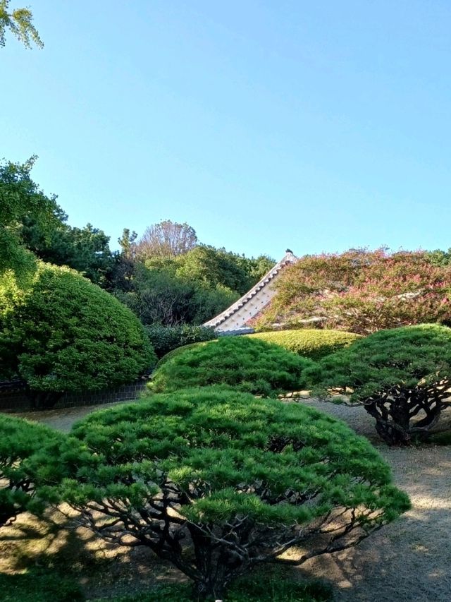 고요 속에 피어나는 충절의 향기
