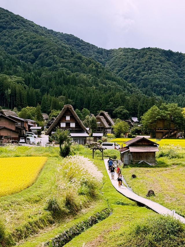 Skip the Filters, Try the Onigiri: Shirakawa-go in September