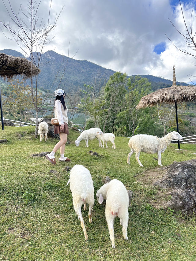 🏡 เตญ่า ฟาร์มวิลล์ คาเฟ่