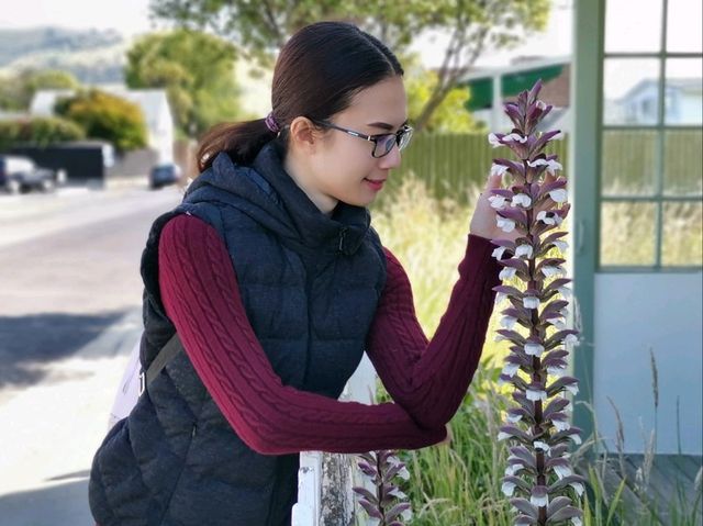New Zealand Road Trip, Akaroa
