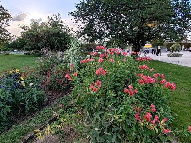 The Tuileries Garden: An Oasis in Central Paris