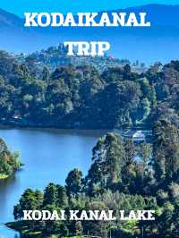KODAIKANAL TEIP
