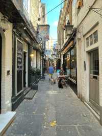 Nature Meets City🌳