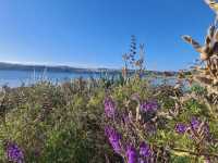 Lake Taupo