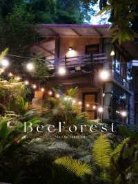 Bee Forest แม่ออน เชียงใหม่ 🏡✨