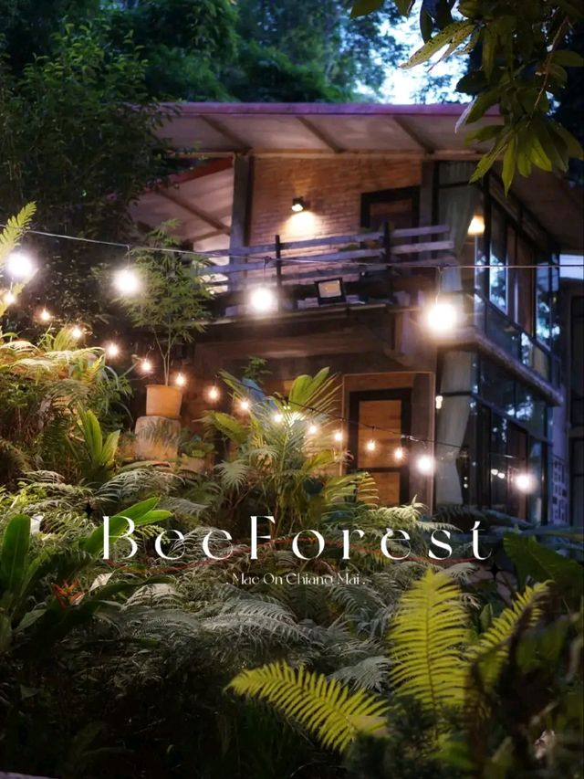 Bee Forest แม่ออน เชียงใหม่ 🏡✨