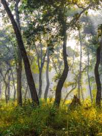 CHITWAN NATIONAL TRIP NEPAL