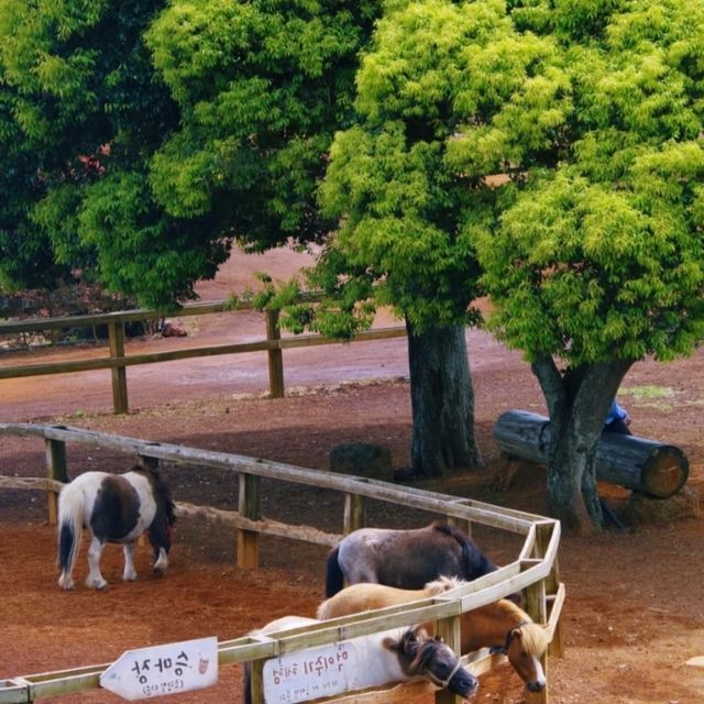 墾丁春天音樂季！單車漫遊+沙灘接力賽