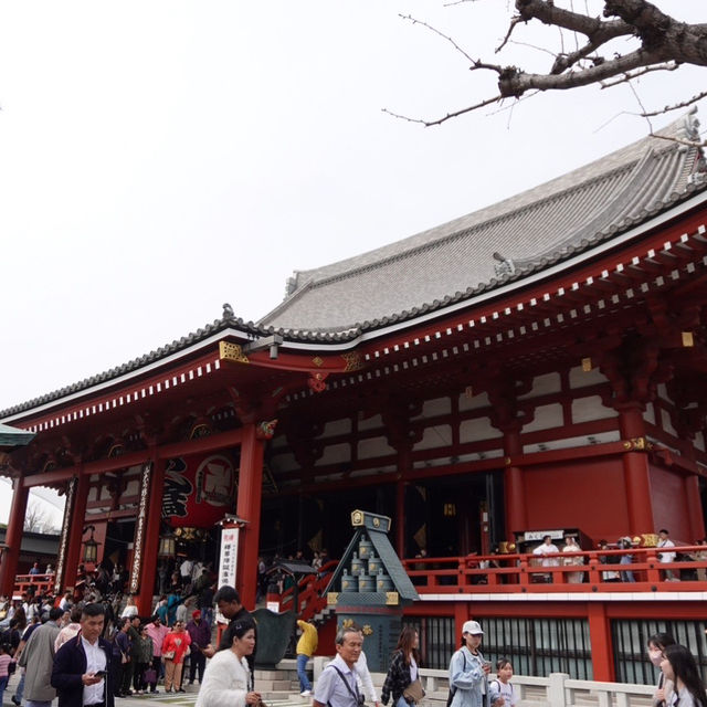 東京台東區 東京台東區