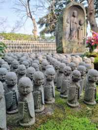 Traveling in Kamakura