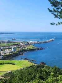Sun-Kissed Adventures on Jeju Island! ☀️✨