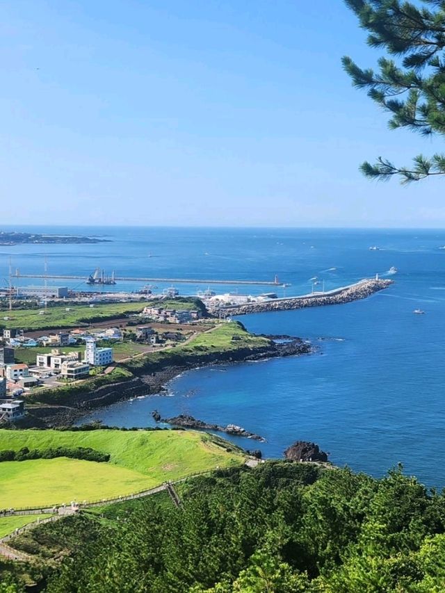 Sun-Kissed Adventures on Jeju Island! ☀️✨
