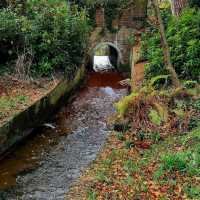 Upper Gardens