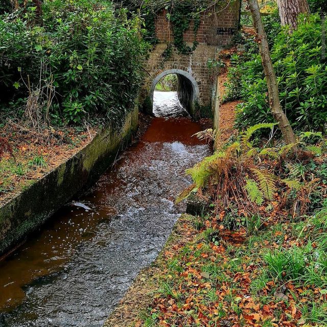 Upper Gardens