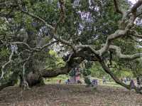 Royal Botanic Gardens, Kew