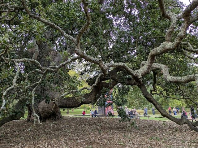Royal Botanic Gardens, Kew