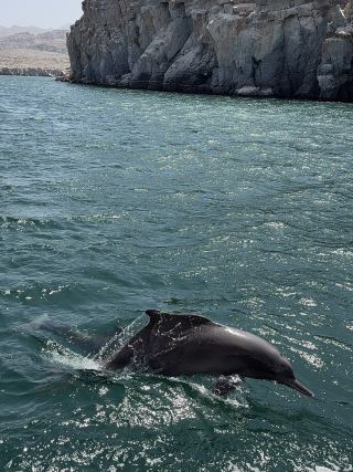 穏やかなムサンダムでのひととき