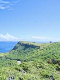 【次の連休に】島で出会うのんびり暮らす在来馬たち癒やされる旅! 🐎🏝️