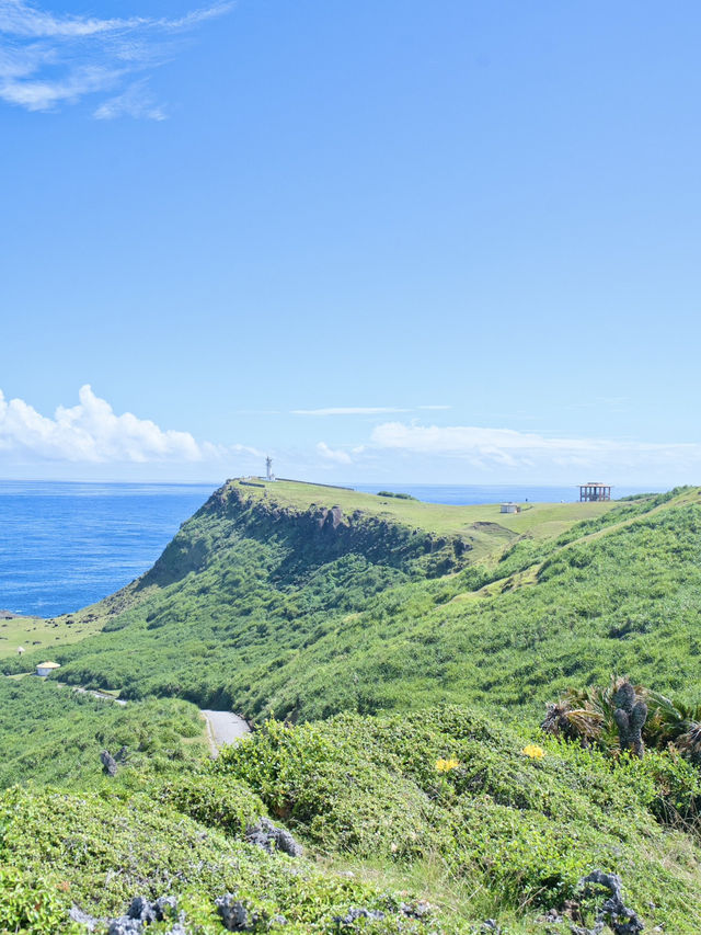 【次の連休に】島で出会うのんびり暮らす在来馬たち癒やされる旅! 🐎🏝️ 【次の連休に】島で出会うのんびり暮らす在来馬たち癒やされる旅! 🐎🏝️