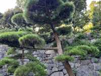 Imperial Palace East National Gardens