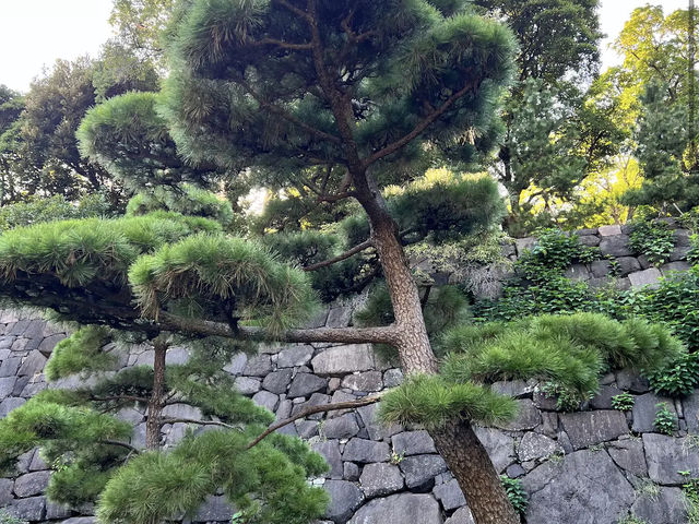 Imperial Palace East National Gardens