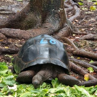桑給巴爾監獄島與納庫彭達沙洲燒烤海鮮午餐