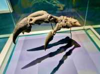 Hands-On Fun at the Hong Kong Science Museum