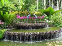 Singapore Botanic Gardens