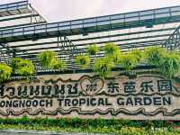 🌴 泰國🇹🇭東芭樂園「花園裡的熱帶奇幻世界」