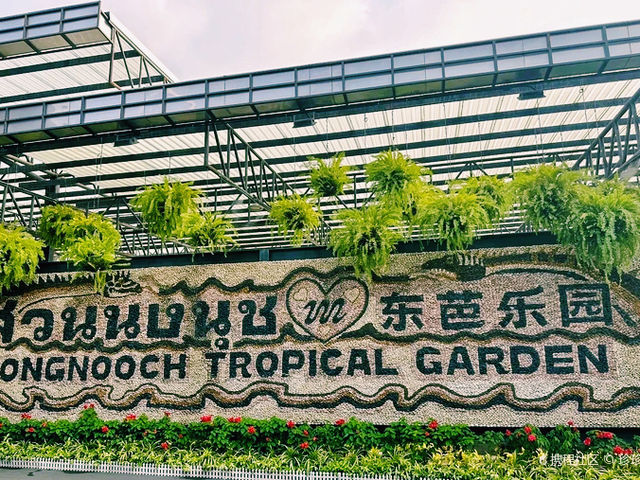 🌴 泰國🇹🇭東芭樂園「花園裡的熱帶奇幻世界」