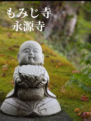 빛나는 단풍의 절경 명소 귀여운 석상이 가득