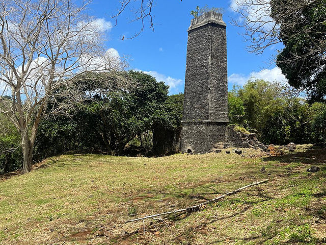 Bel Ombre Nature Reserve - Falls of Heaven in Mauritius 