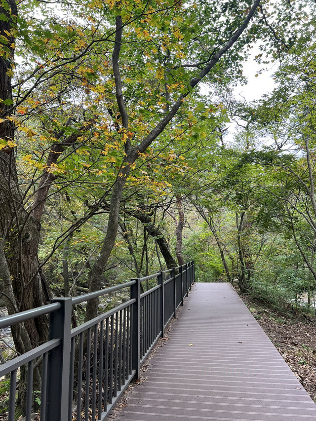 용문사 가는길 풍경이 아름답군요🖼️