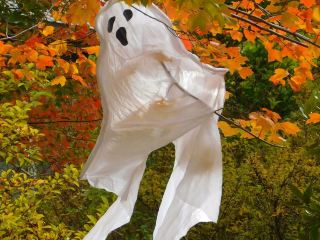 Strolling by the riverside to enjoy the leisurely autumn vibes