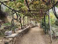 Botanical Garden of Crete