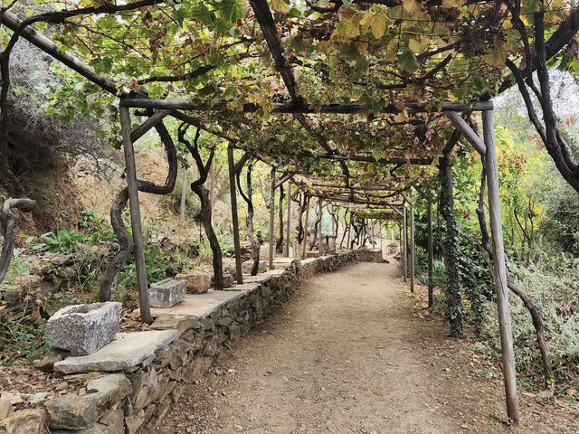 Botanical Garden of Crete