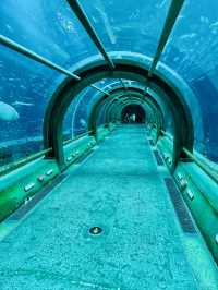 🐢🌊  The Sea Shell – Inside the Giant Turtle of VinWonders Phu Quoc
