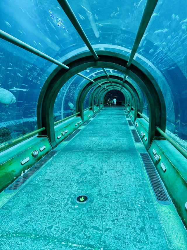 🐢🌊  The Sea Shell – Inside the Giant Turtle of VinWonders Phu Quoc