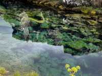“The Mirror of Two Continents”