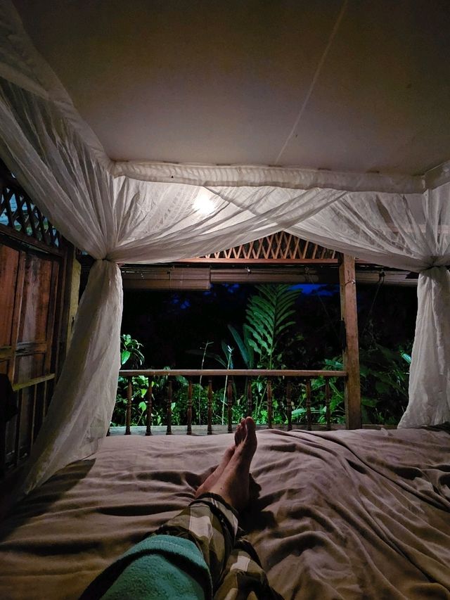 Unplug & Unwind: My Open-Air Stay in Hulu Langat Unplug & Unwind: My Open-Air Stay in Hulu Langat