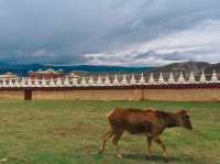 แชร์งบเที่ยว : เสฉวนตะวันตก 5 วัน 4 คืน