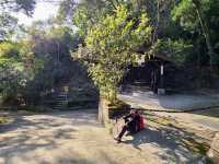 【新田步道・輕登小百岳-聚興山｜的山林小旅行】