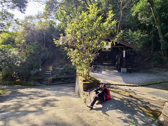 【新田步道・輕登小百岳-聚興山｜的山林小旅行】