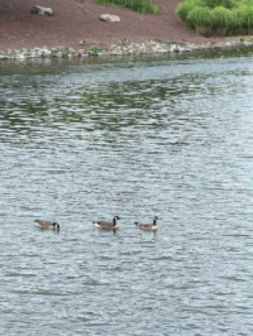 วันชิล ๆ ที่ Rio Lakefront