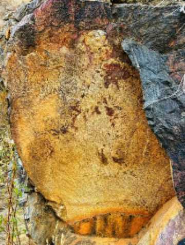 🌄 Ventana Canyon – Tucson’s Scenic Desert Escape🌿