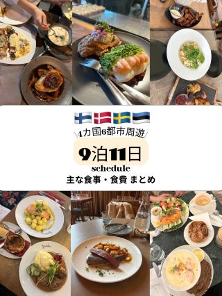 [Traveling around Northern Europe🇫🇮🇩🇰🇸🇪🇪🇪] Summary of main meals and food costs