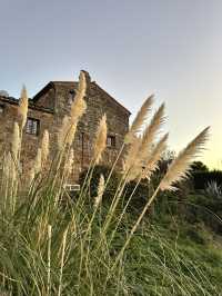 하늘 위에 떠 있는 듯한 성채, 라퓨타의 신비로운 세계