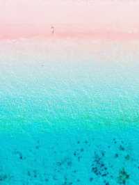 印尼🇮🇩科莫多島繽紛色彩